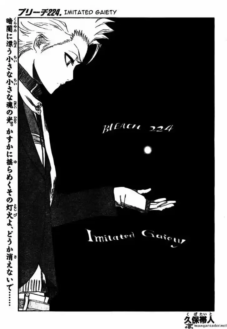 Bleach - All Colour But The Black Vol.23 Ch.224