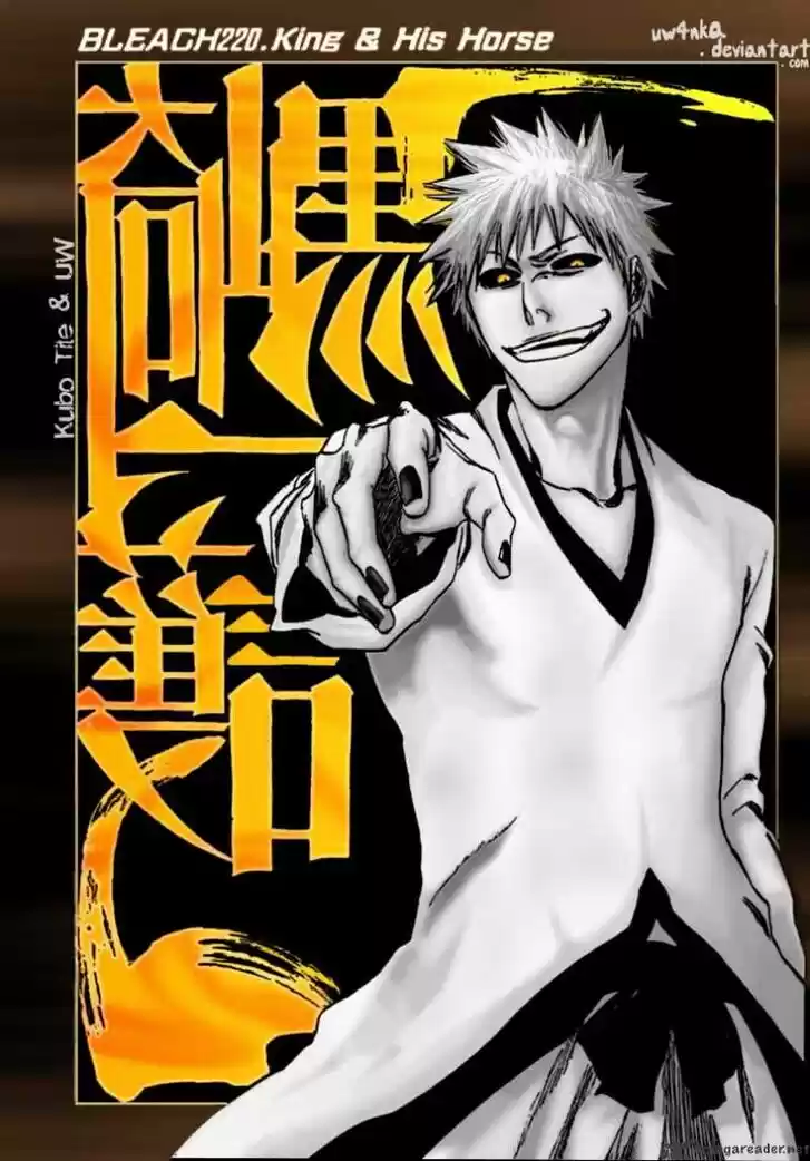 Bleach - All Colour But The Black Vol.23 Ch.225