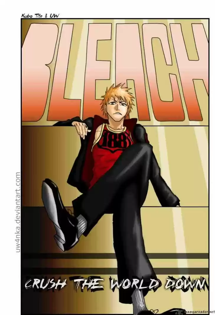 Bleach - All Colour But The Black Vol.23 Ch.225