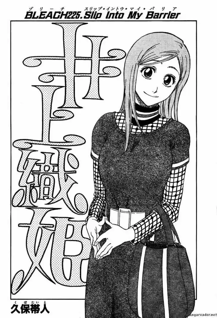 Bleach - All Colour But The Black Vol.23 Ch.225