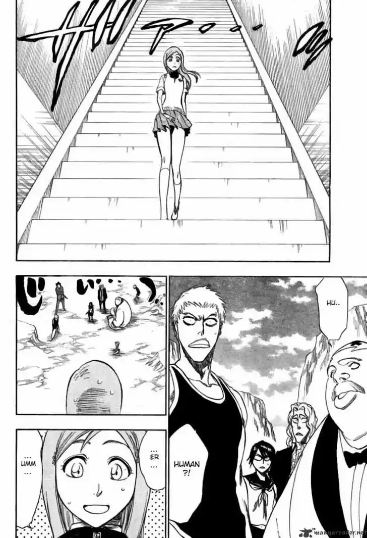 Bleach - All Colour But The Black Vol.23 Ch.225