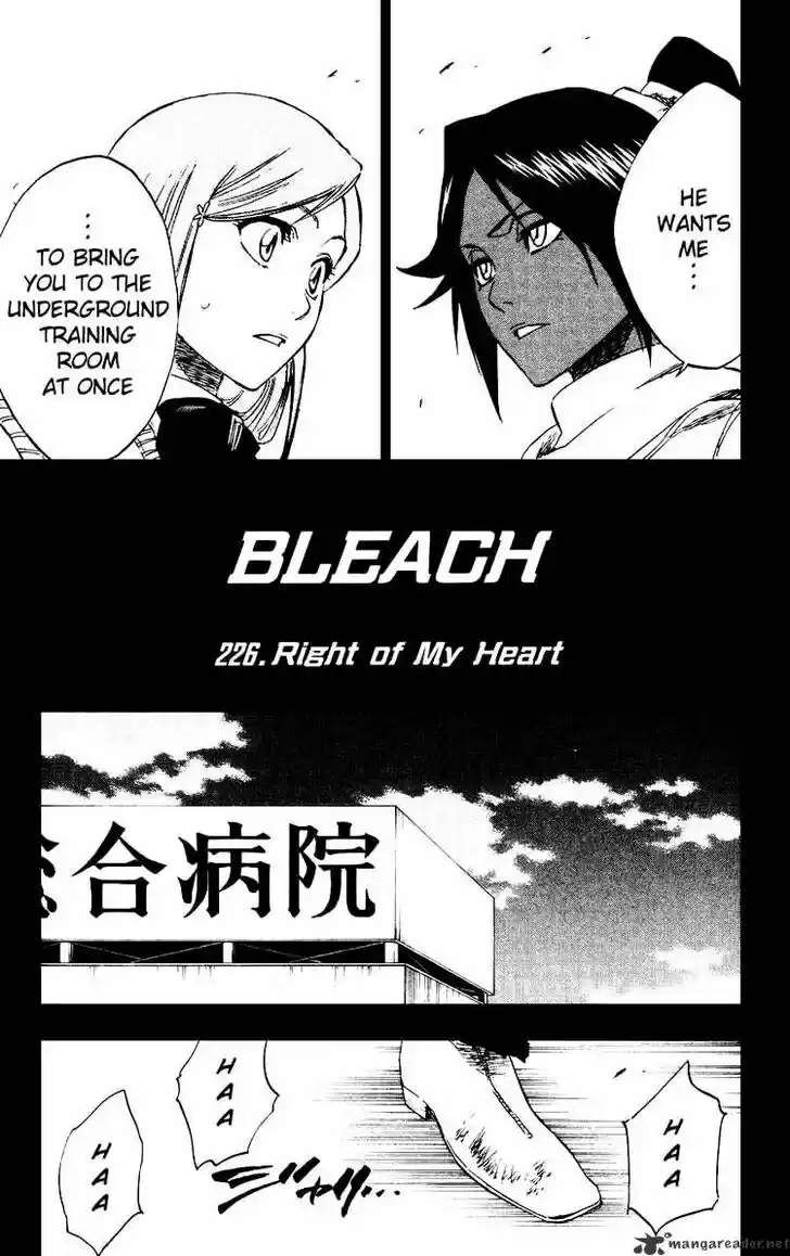 Bleach - All Colour But The Black Vol.23 Ch.226