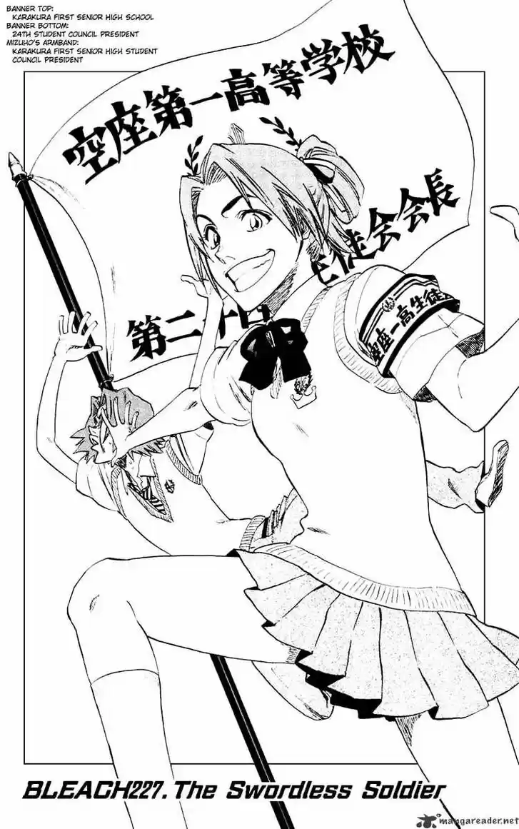 Bleach - All Colour But The Black Vol.23 Ch.227