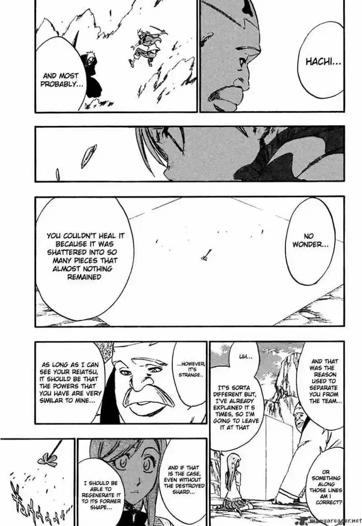 Bleach - All Colour But The Black Vol.23 Ch.228