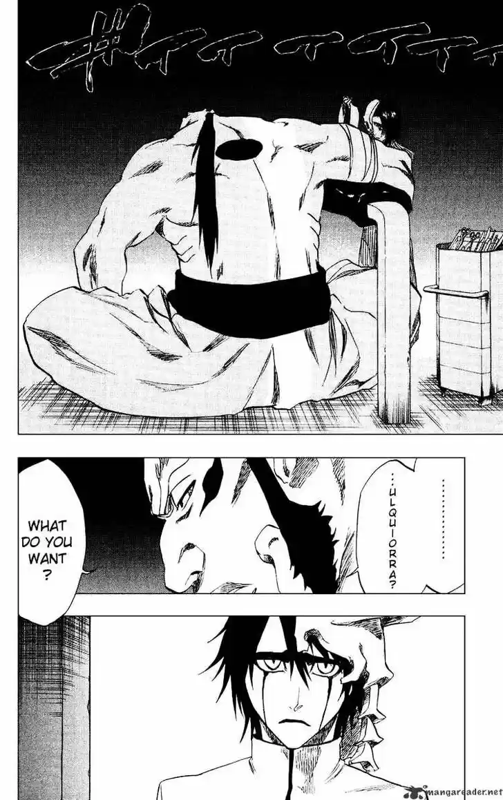 Bleach - All Colour But The Black Vol.23 Ch.229