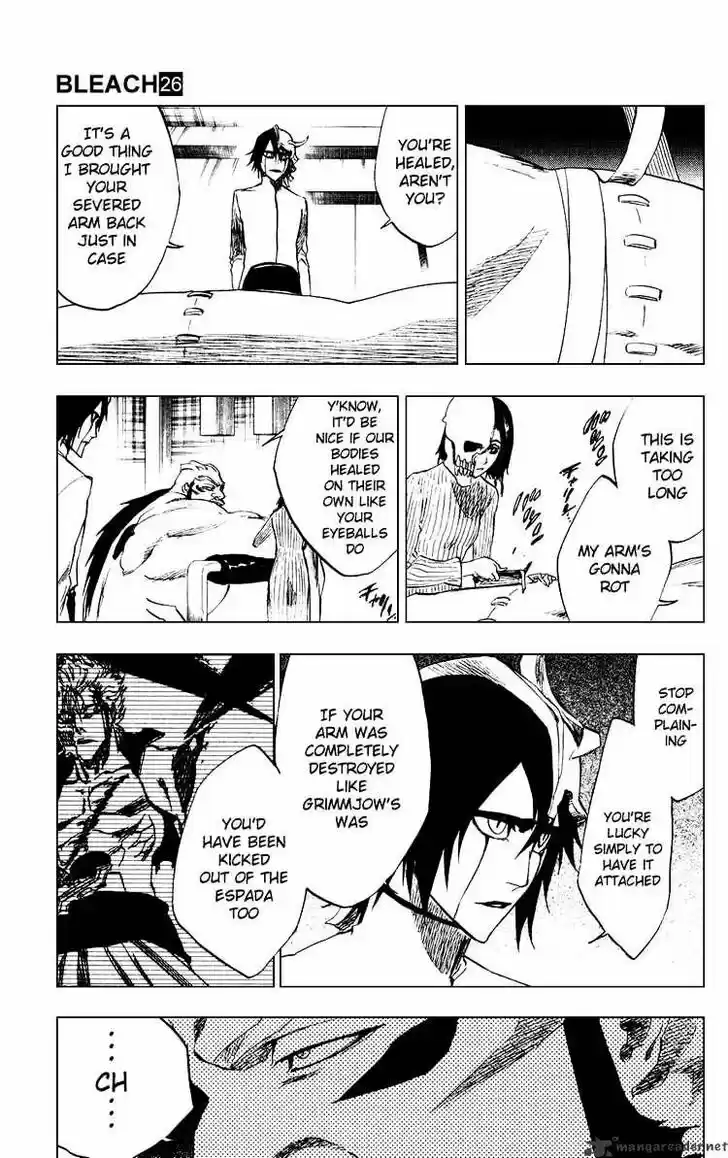 Bleach - All Colour But The Black Vol.23 Ch.229