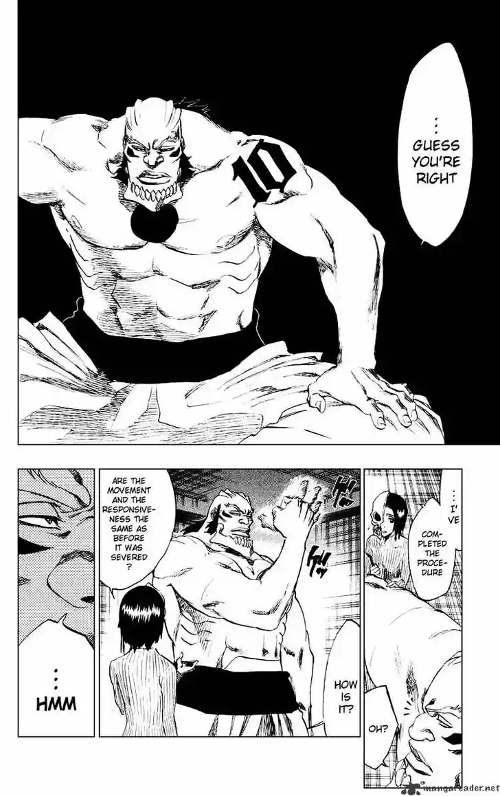 Bleach - All Colour But The Black Vol.23 Ch.229