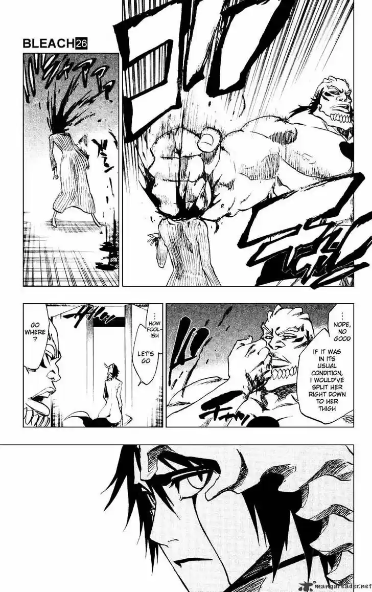 Bleach - All Colour But The Black Vol.23 Ch.229