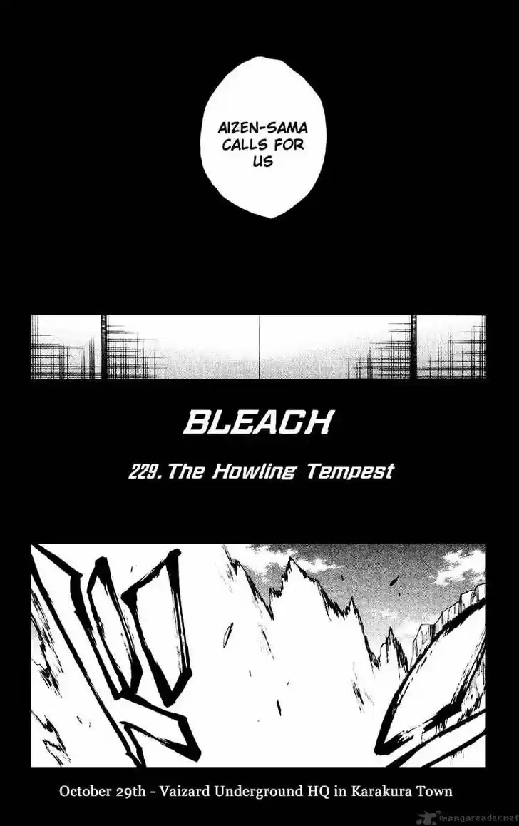 Bleach - All Colour But The Black Vol.23 Ch.229