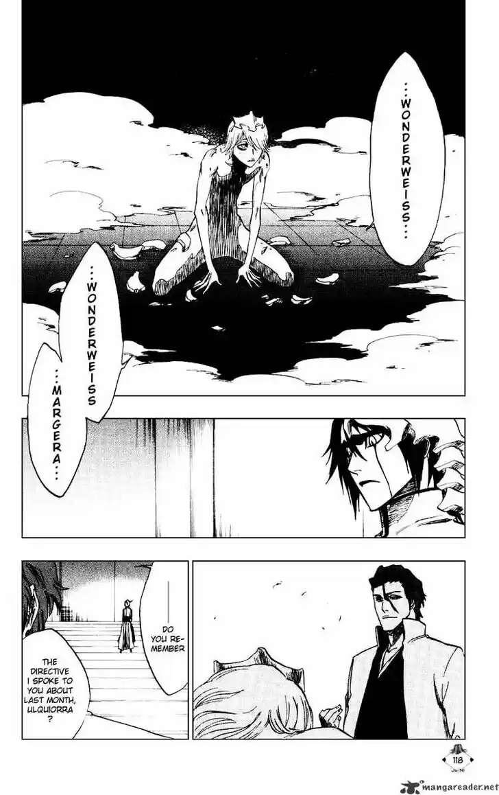 Bleach - All Colour But The Black Vol.23 Ch.229