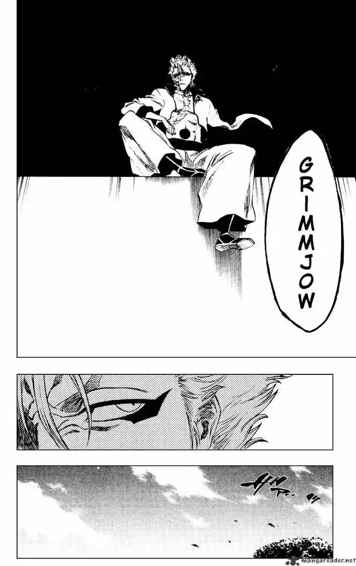 Bleach - All Colour But The Black Vol.23 Ch.229
