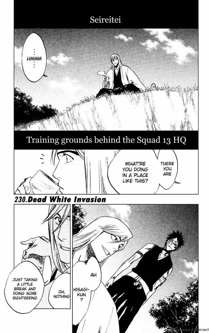 Bleach - All Colour But The Black Vol.23 Ch.230