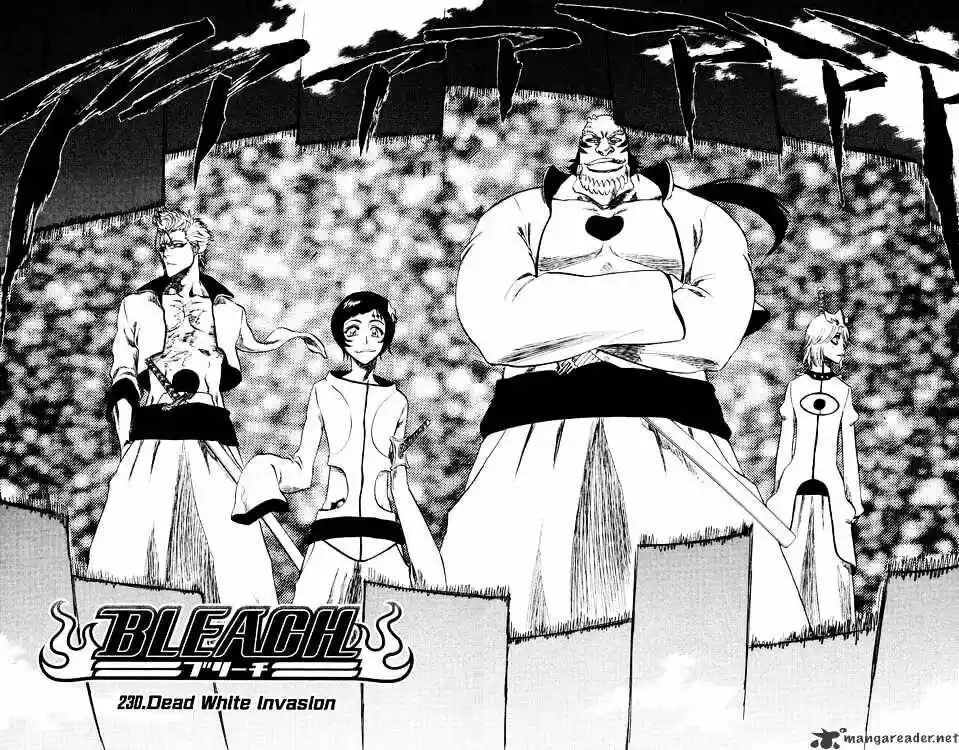 Bleach - All Colour But The Black Vol.23 Ch.230