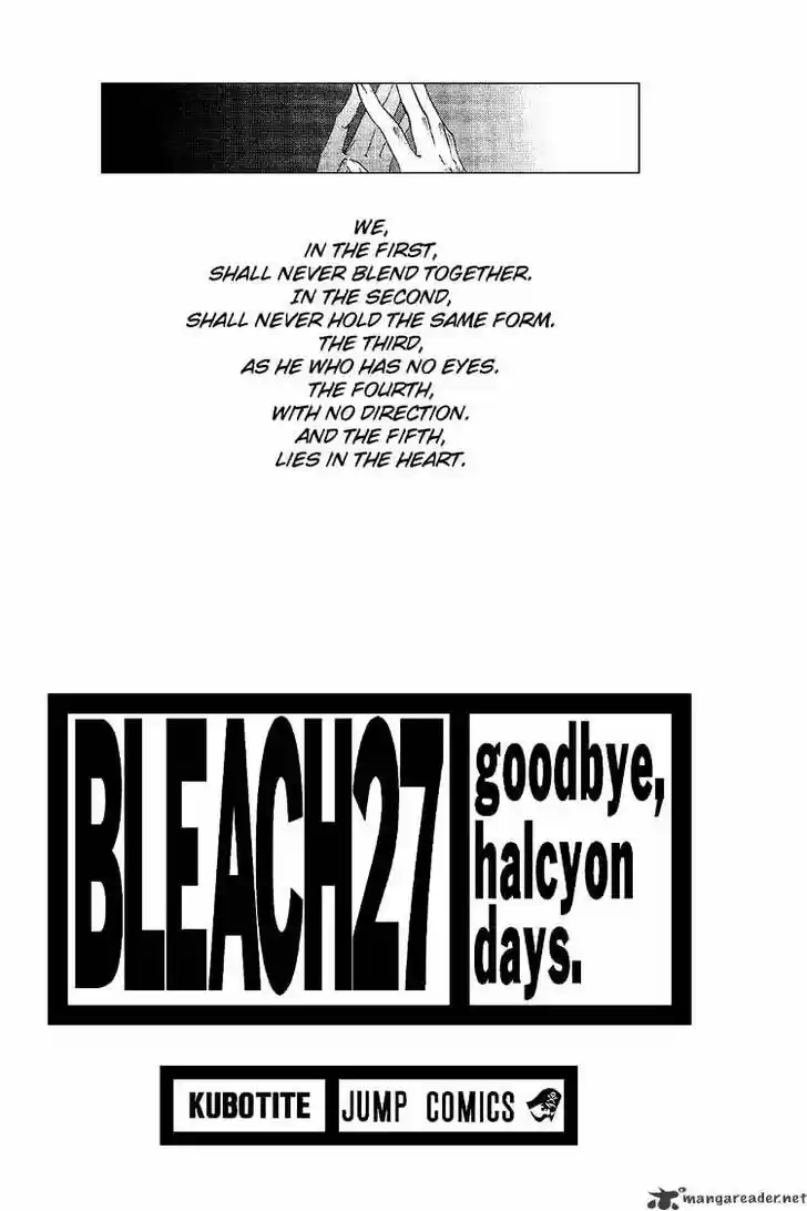 Bleach - All Colour But The Black Vol.23 Ch.234