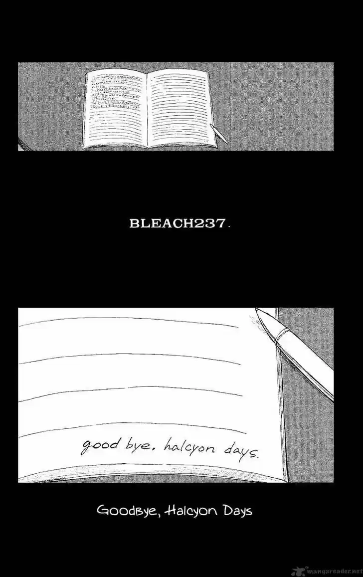 Bleach - All Colour But The Black Vol.23 Ch.237
