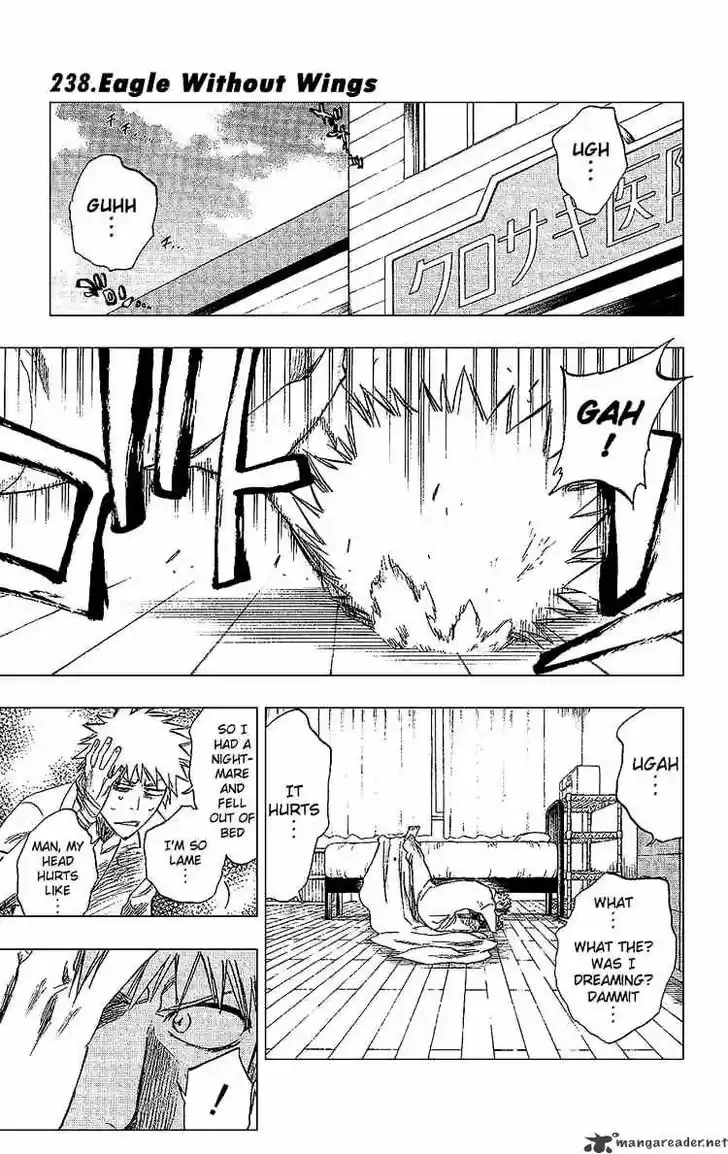 Bleach - All Colour But The Black Vol.23 Ch.238