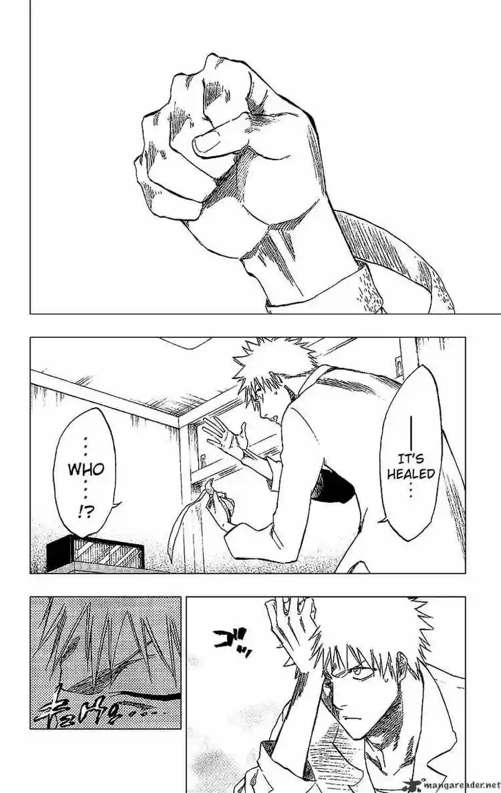 Bleach - All Colour But The Black Vol.23 Ch.238