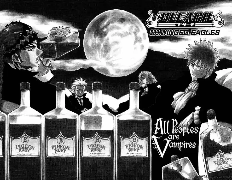 Bleach - All Colour But The Black Vol.23 Ch.239