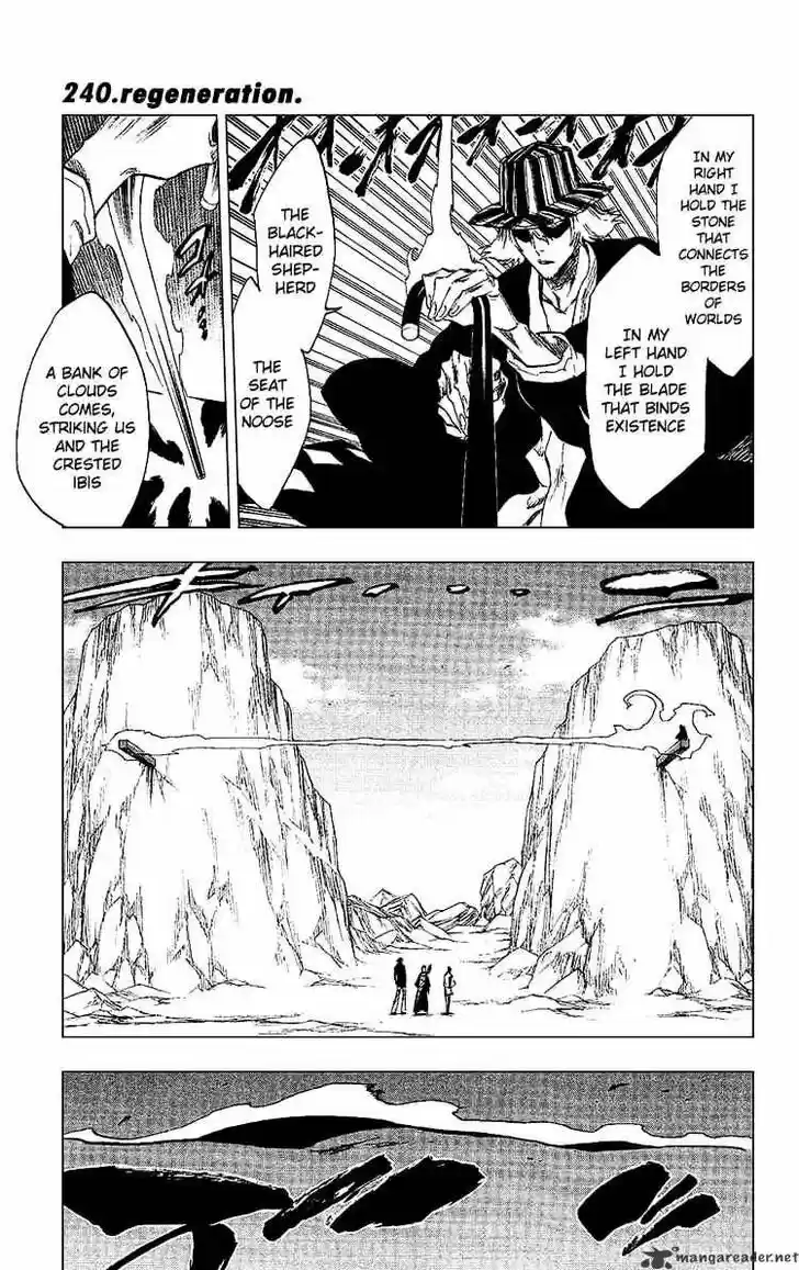 Bleach - All Colour But The Black Vol.23 Ch.240