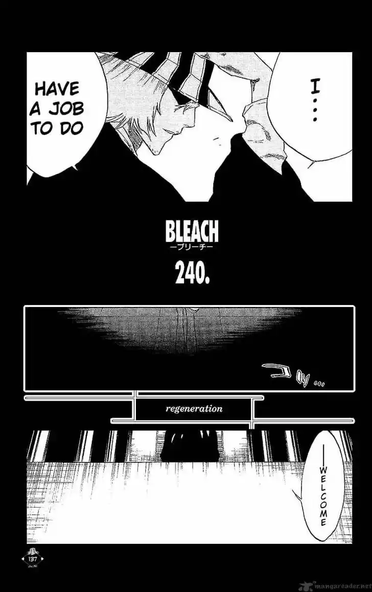 Bleach - All Colour But The Black Vol.23 Ch.240
