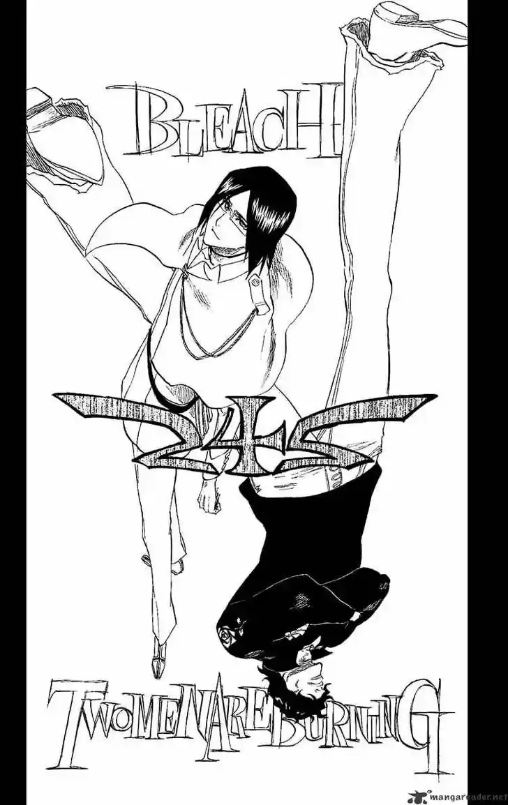 Bleach - All Colour But The Black Vol.23 Ch.242