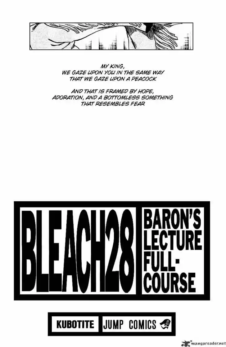 Bleach - All Colour But The Black Vol.23 Ch.243