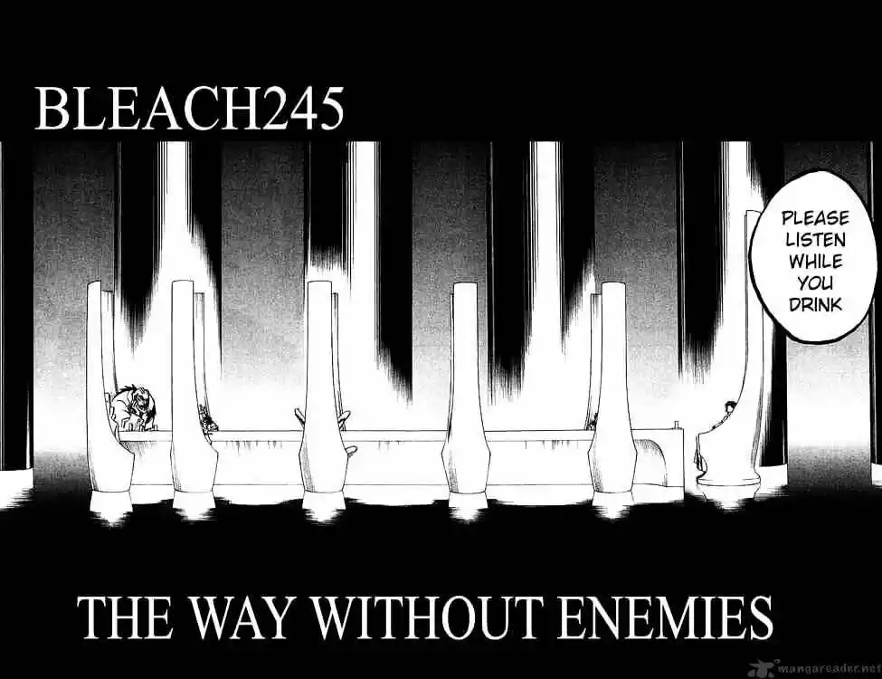Bleach - All Colour But The Black Vol.23 Ch.245
