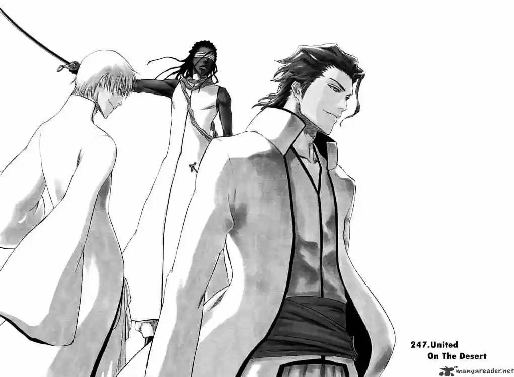 Bleach - All Colour But The Black Vol.23 Ch.247
