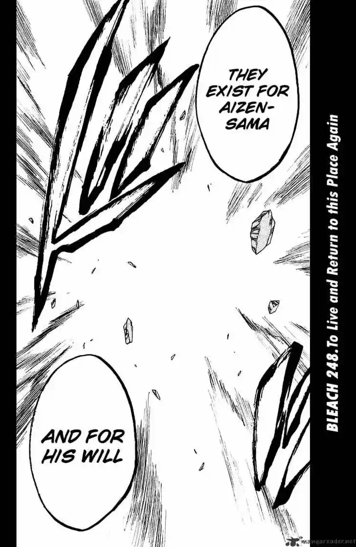 Bleach - All Colour But The Black Vol.23 Ch.248