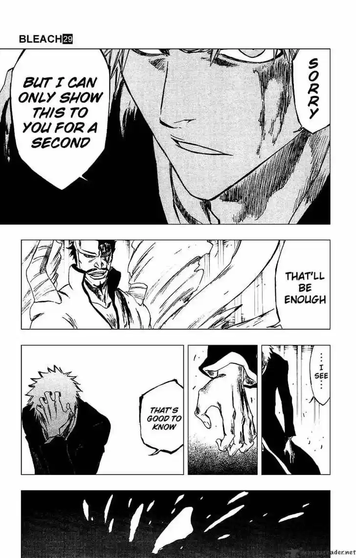 Bleach - All Colour But The Black Vol.23 Ch.253
