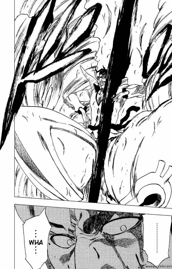 Bleach - All Colour But The Black Vol.23 Ch.253