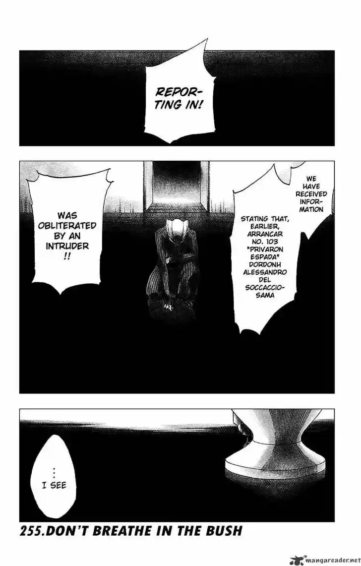 Bleach - All Colour But The Black Vol.23 Ch.255