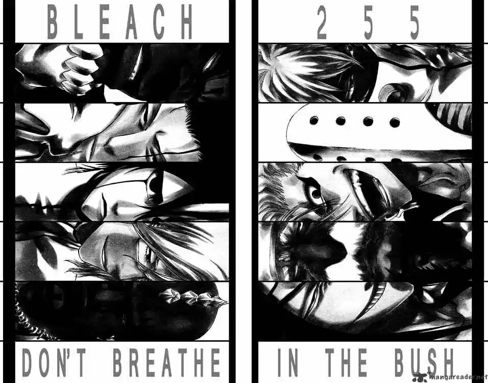 Bleach - All Colour But The Black Vol.23 Ch.255
