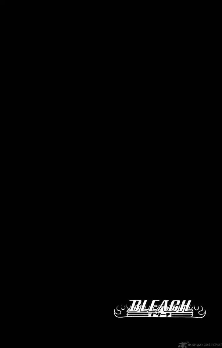 Bleach - All Colour But The Black Vol.23 Ch.255