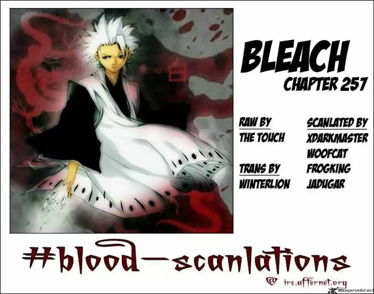 Bleach - All Colour But The Black Vol.23 Ch.257