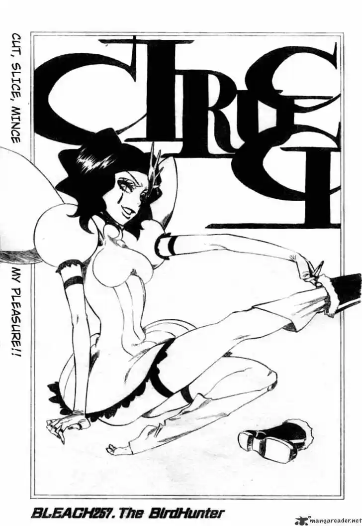 Bleach - All Colour But The Black Vol.23 Ch.257