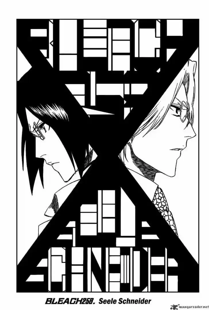 Bleach - All Colour But The Black Vol.23 Ch.258