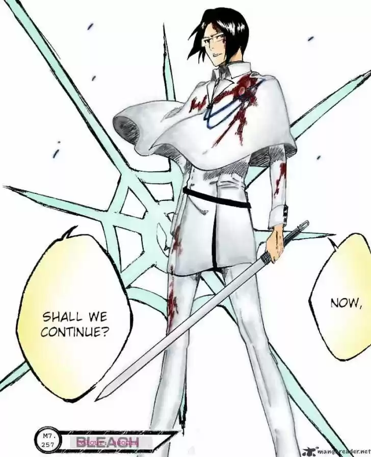 Bleach - All Colour But The Black Vol.23 Ch.258