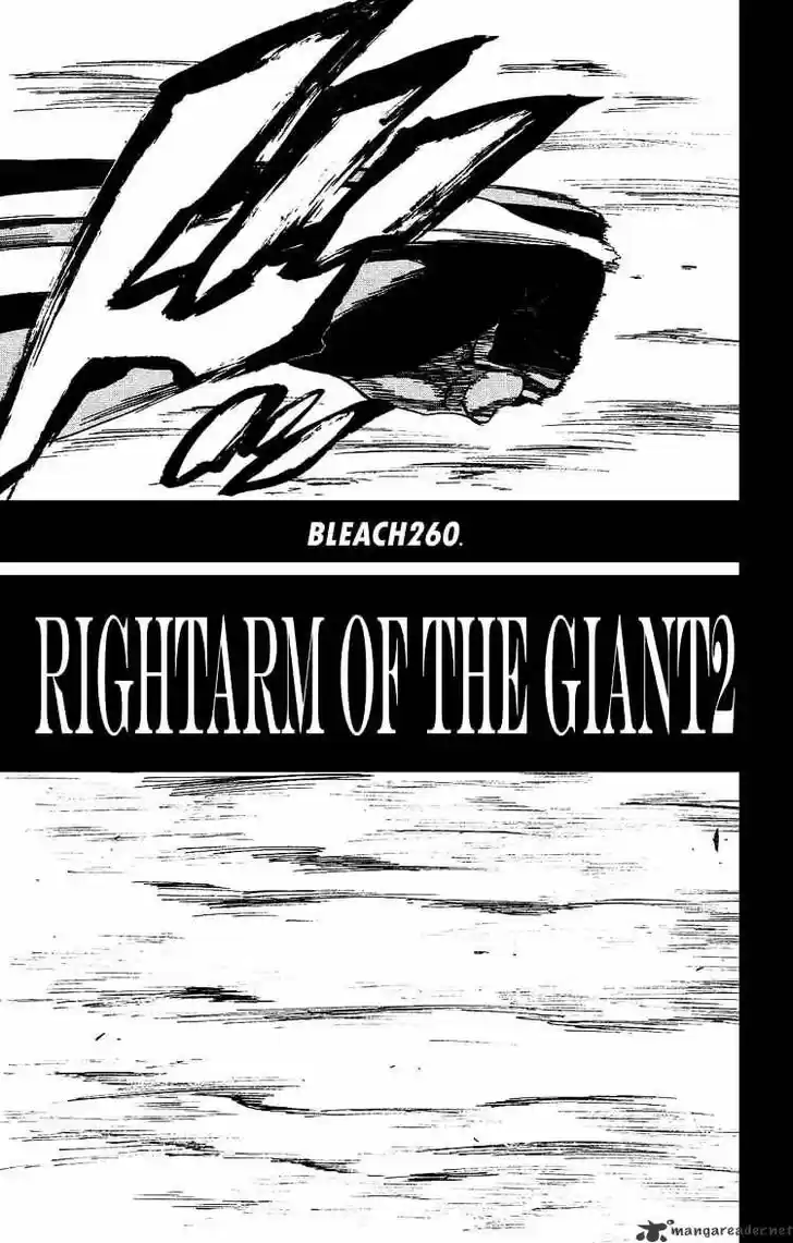Bleach - All Colour But The Black Vol.23 Ch.260