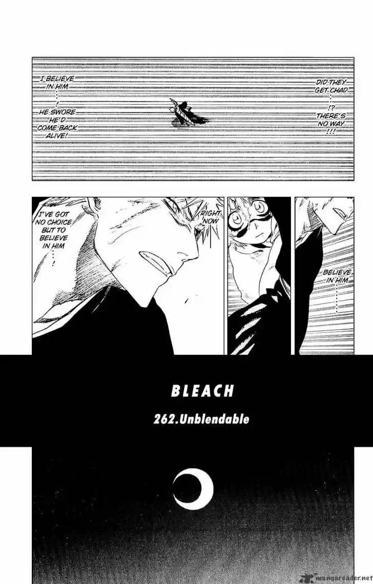 Bleach - All Colour But The Black Vol.23 Ch.262