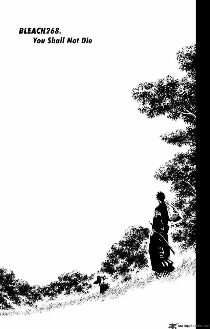 Bleach - All Colour But The Black Vol.23 Ch.268