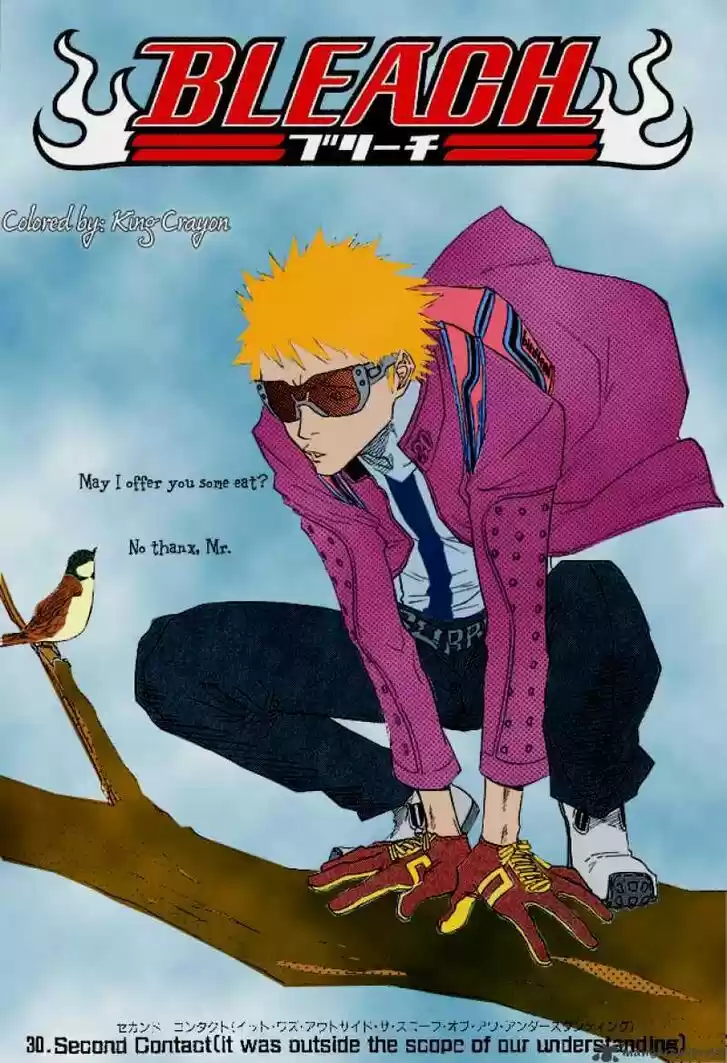 Bleach - All Colour But The Black Vol.23 Ch.271