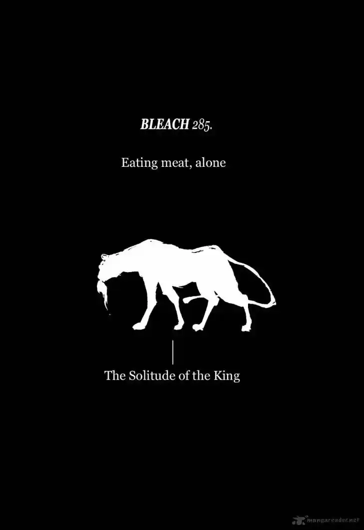 Bleach - All Colour But The Black Vol.23 Ch.285