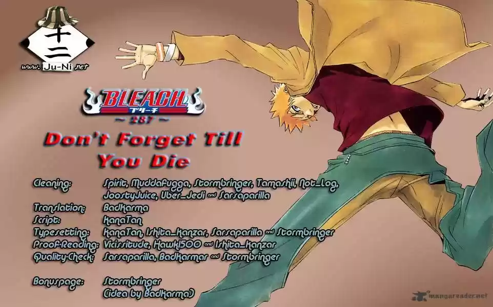 Bleach - All Colour But The Black Vol.23 Ch.287