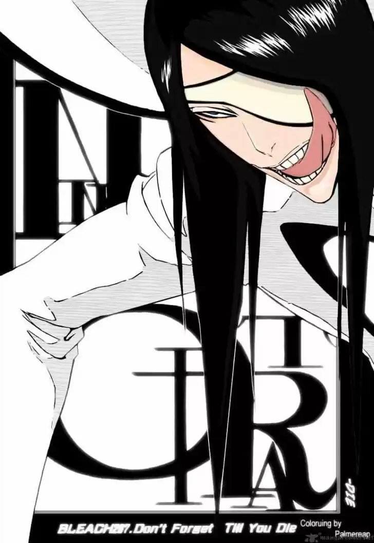 Bleach - All Colour But The Black Vol.23 Ch.288