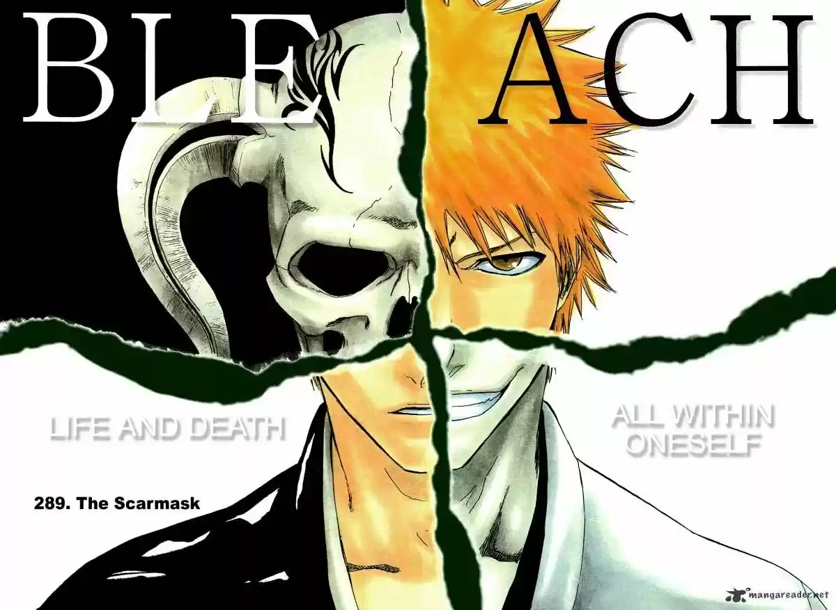 Bleach - All Colour But The Black Vol.23 Ch.289