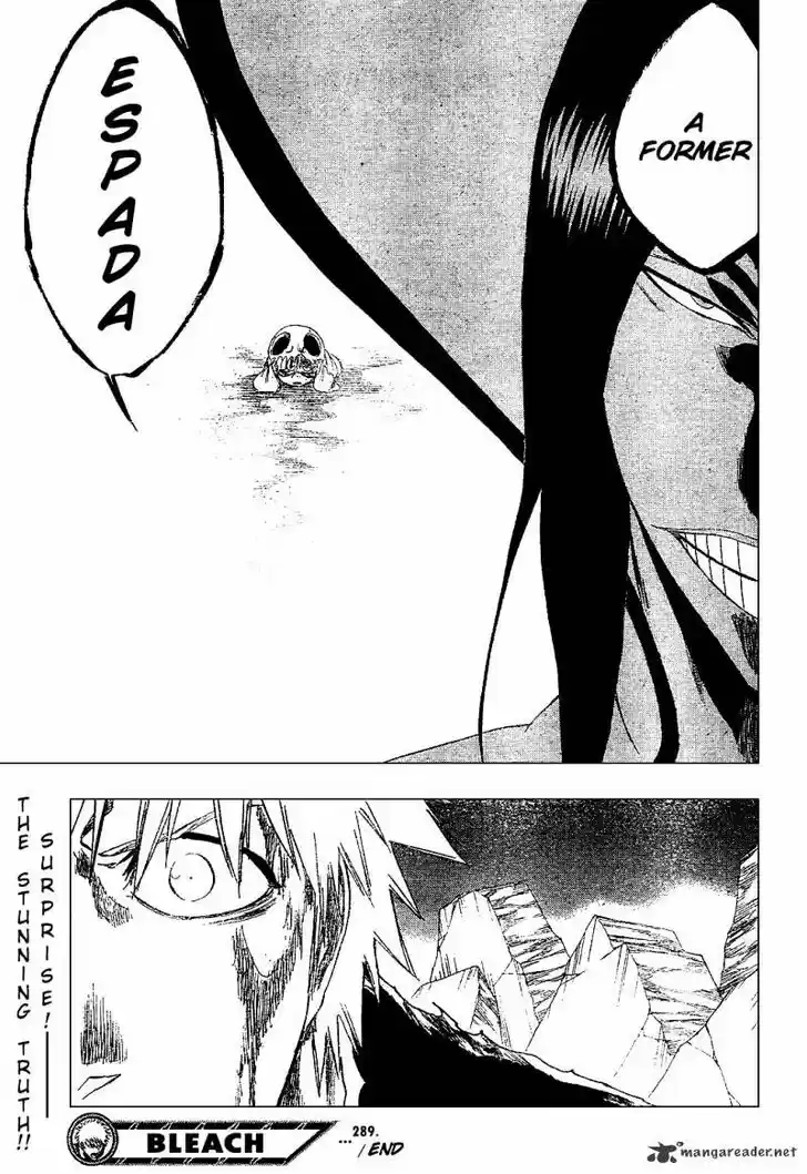 Bleach - All Colour But The Black Vol.23 Ch.289