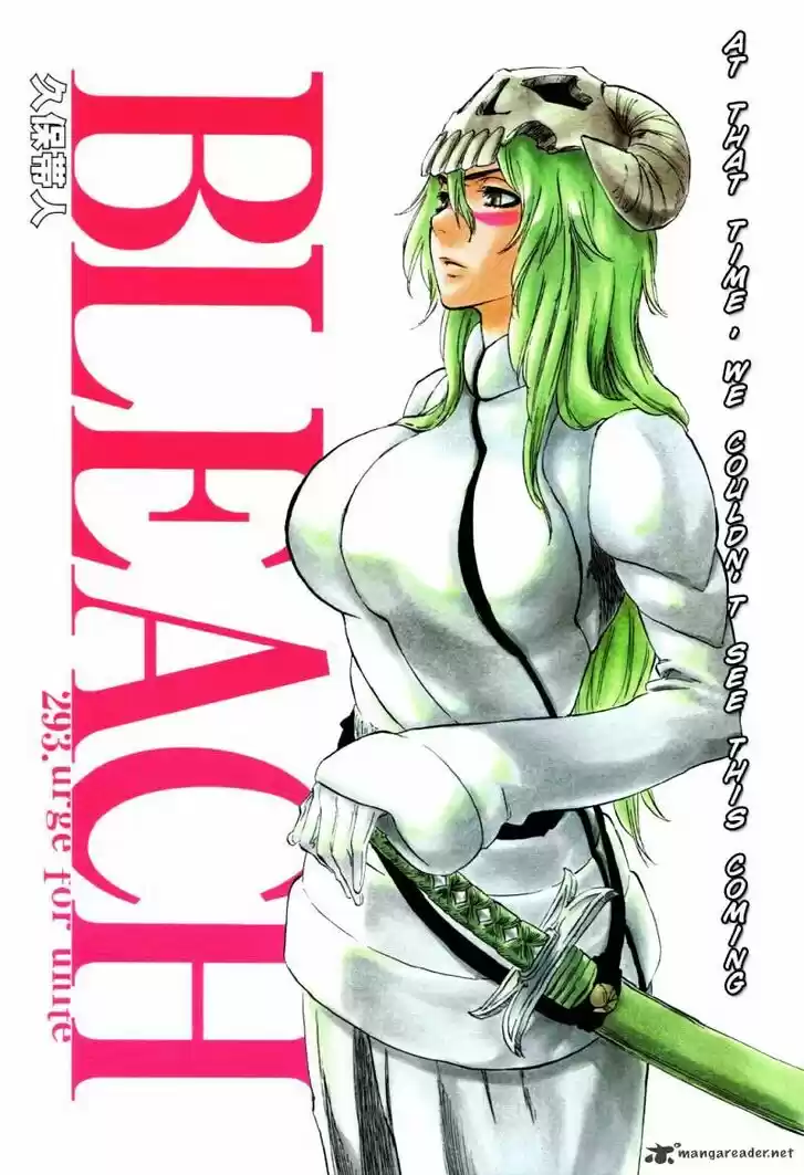 Bleach - All Colour But The Black Vol.23 Ch.293