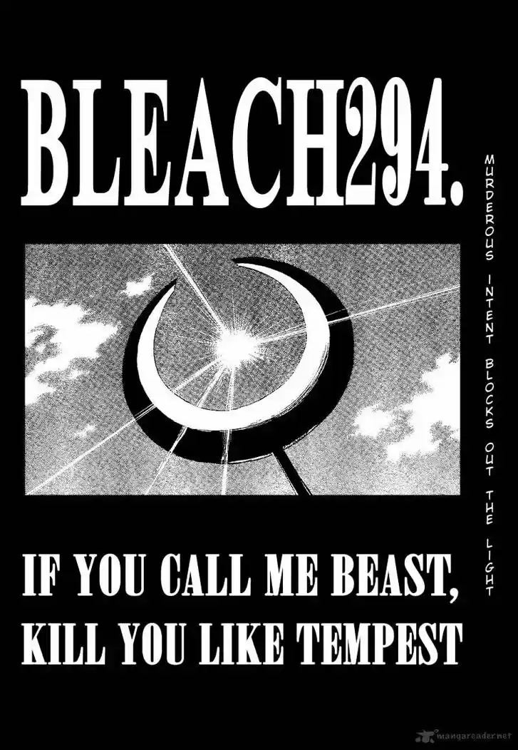 Bleach - All Colour But The Black Vol.23 Ch.294