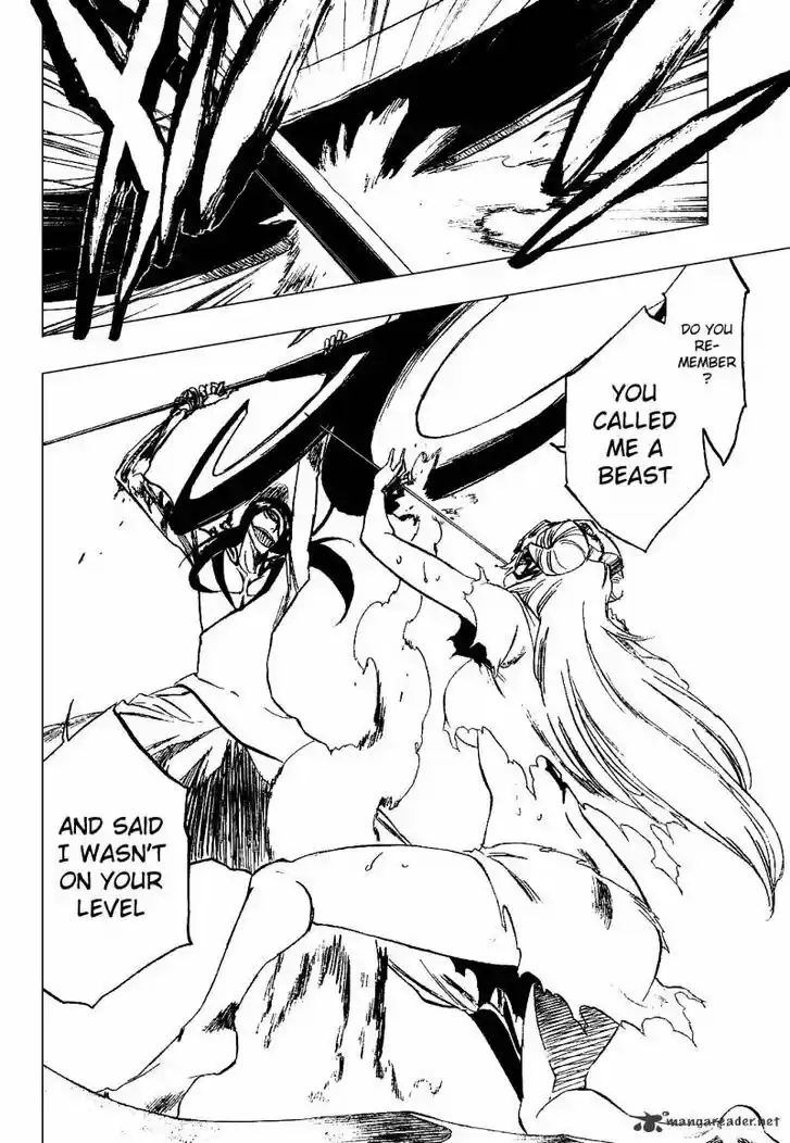 Bleach - All Colour But The Black Vol.23 Ch.294